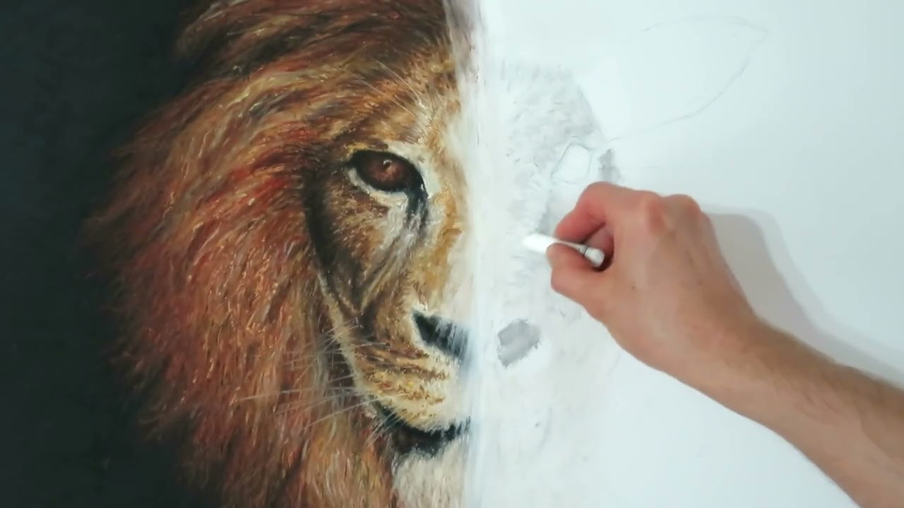 10. Tiere zeichnen und malen mit Ölpastell. Draw and paint animals with oil pastel.
