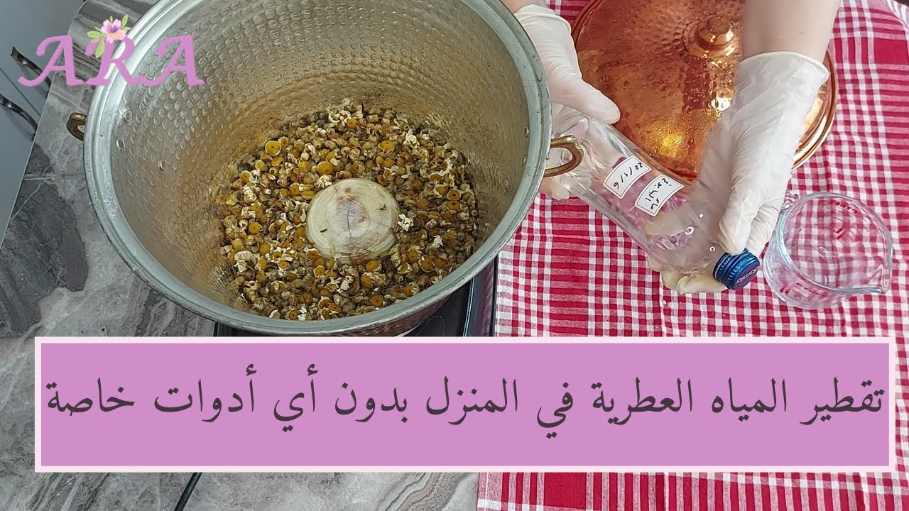 تقطير المياه العطرية - الهيدروسول - في المنزل بدون أدوات خاصة