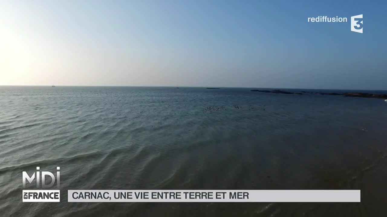 SUIVEZ LE GUIDE : Carnac, une vie entre terre et mer