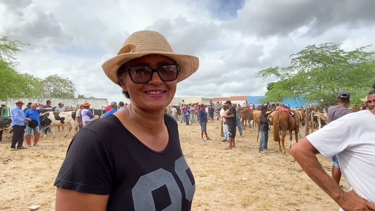Feira do Gado em São José da tapera -  AL 18 - 03 - 2023 #nordeste