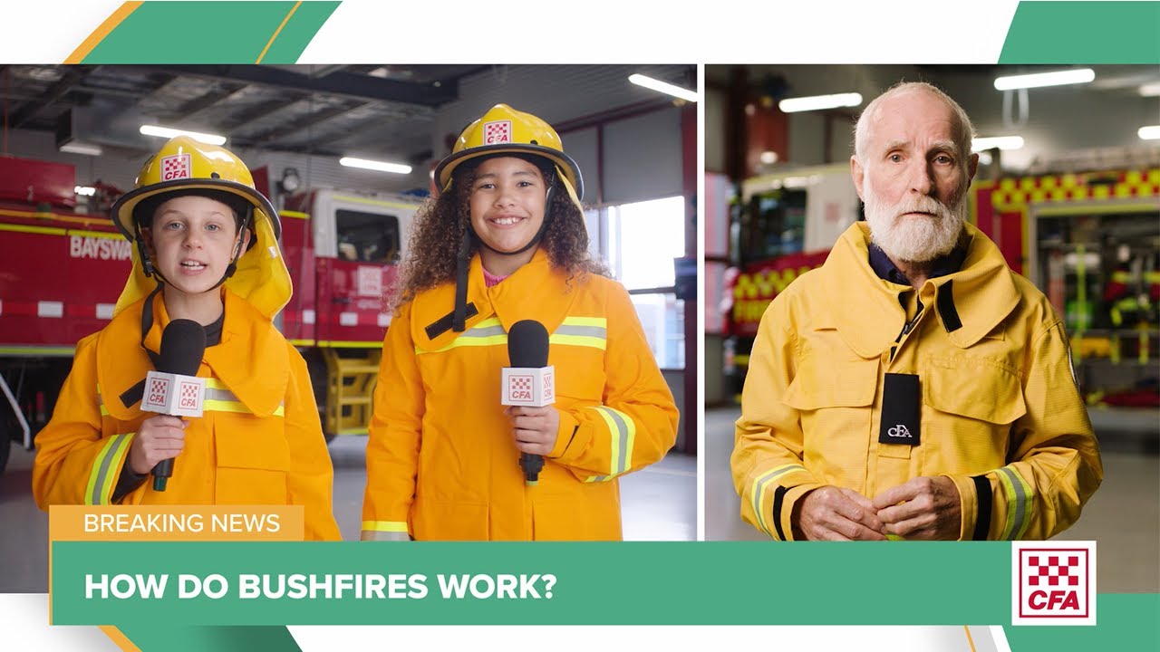 How do bushfires work?