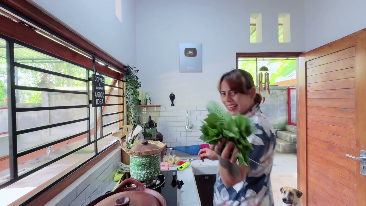Tumis Daun Sintrong Liar Hasil Panen