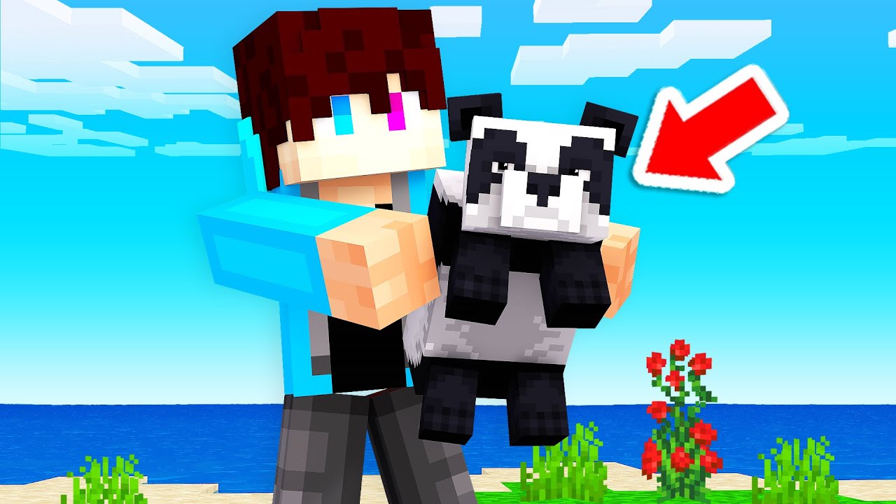 Ik Vond Een BABY PANDA In MINECRAFT! (Raft)