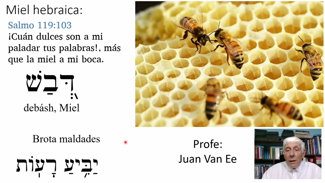 Brota maldades