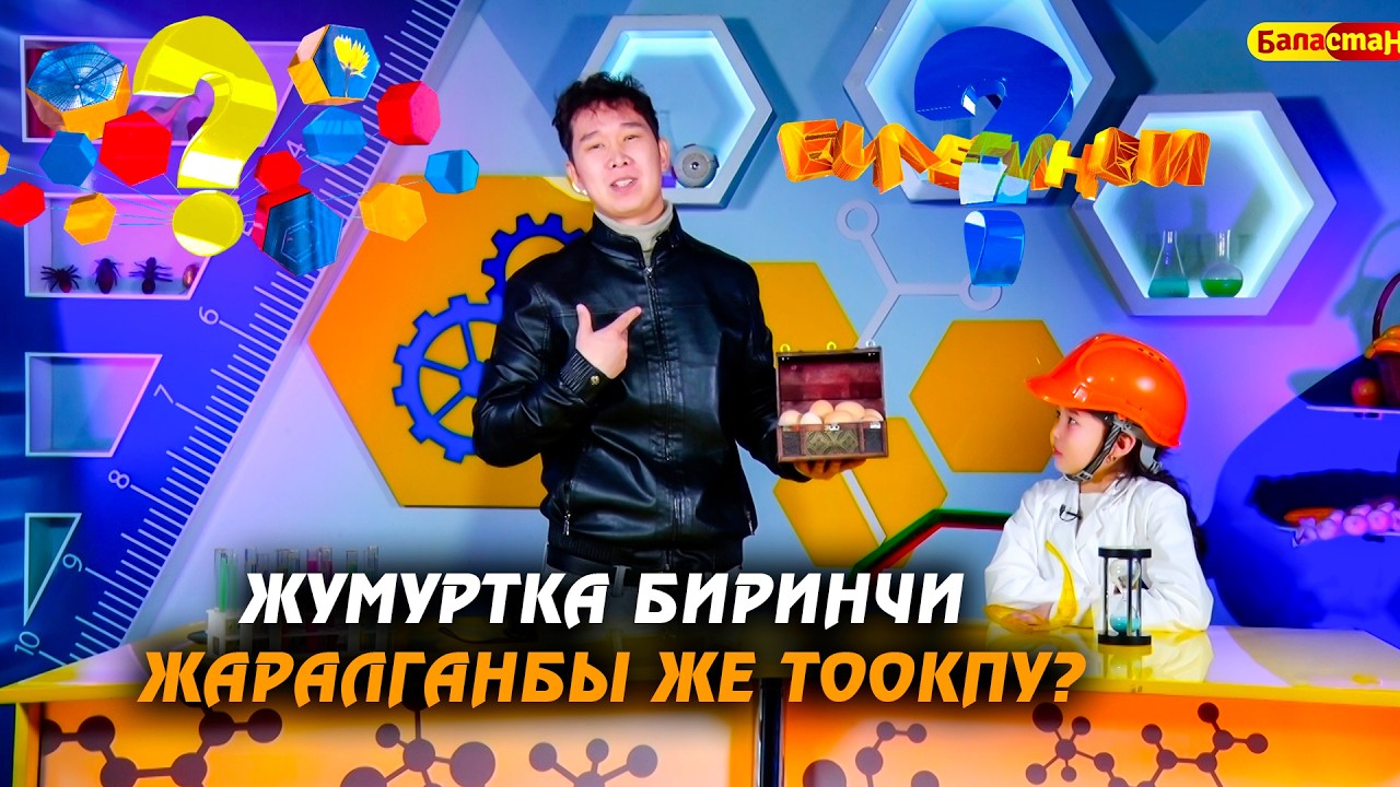 Билесиңби: Жумуртка биринчи жаралганбы же тоокпу?