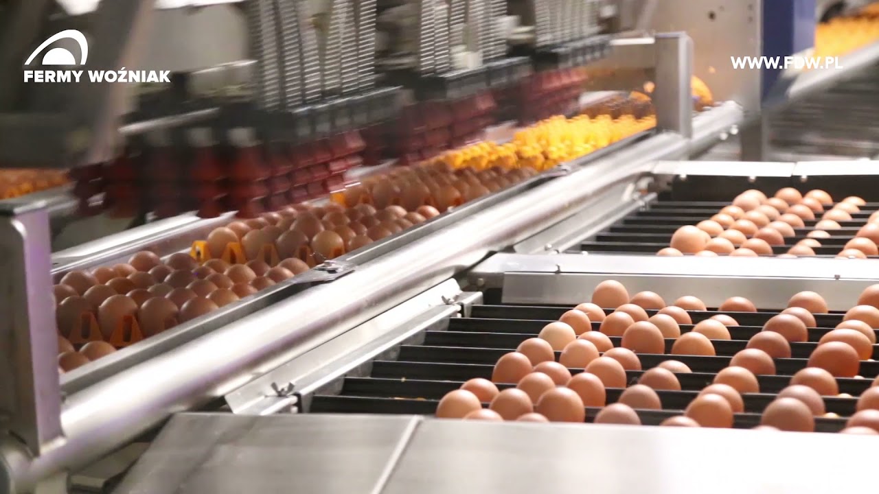 Fermy Woźniak fresh, table eggs from the heart of Europe (corporate video / EN subtitles)