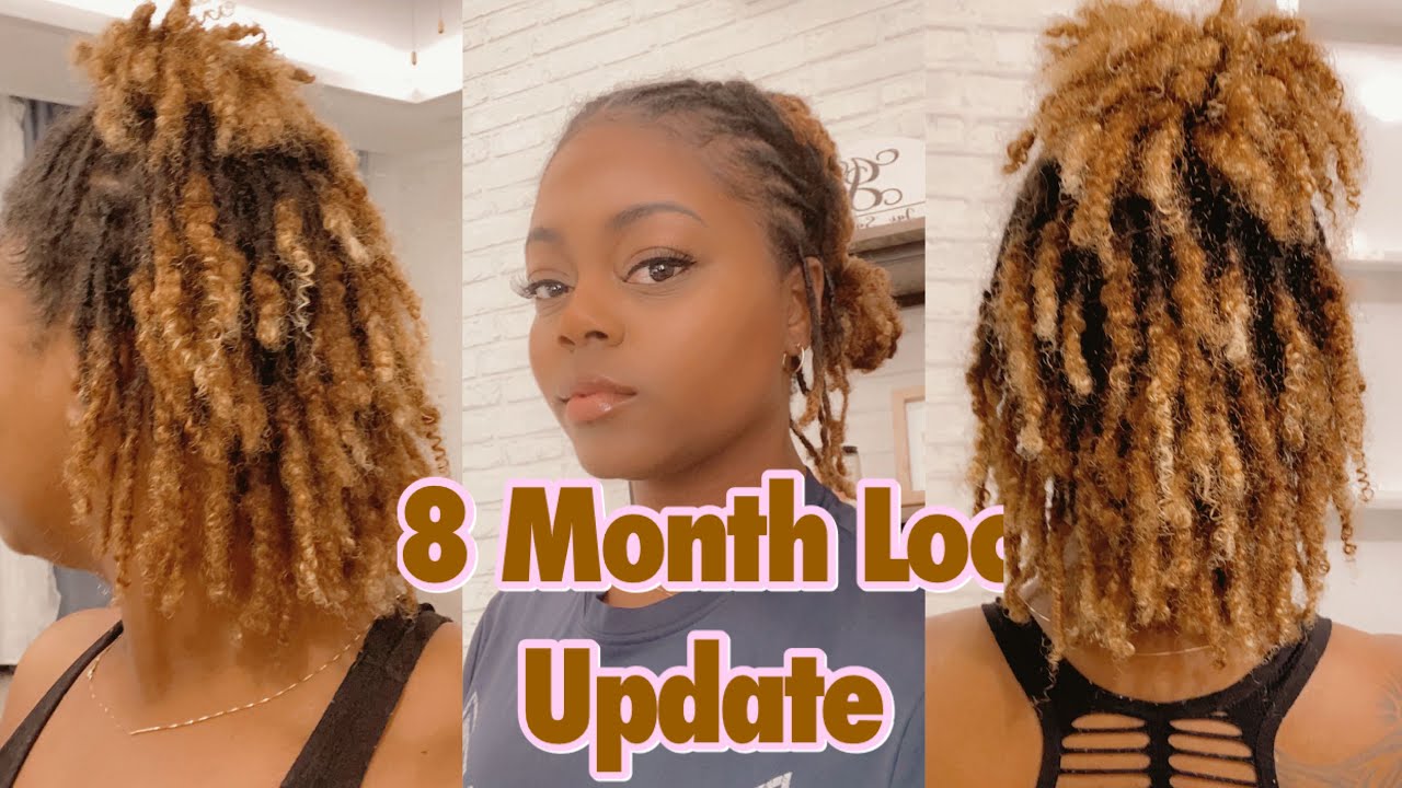 8 Month Loc Update | Two Stand Twist Starter Locs