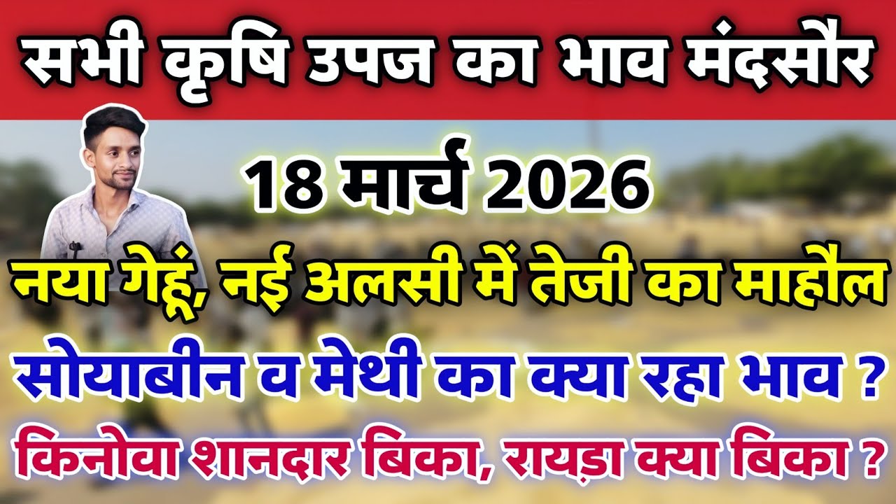 सभी कृषि उपज का भाव मंदसौर मंडी 18 मार्च 2026 | Mandsaur Mandi ka bhav #mandsaur_mandi_bhav