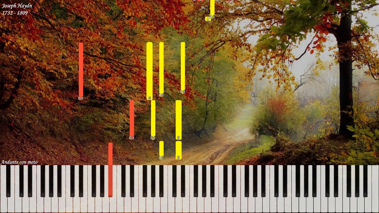 Joseph Haydn - Sonata 33 in C Minor Hob XVI 20 | Piano Synthesia | Library of Music