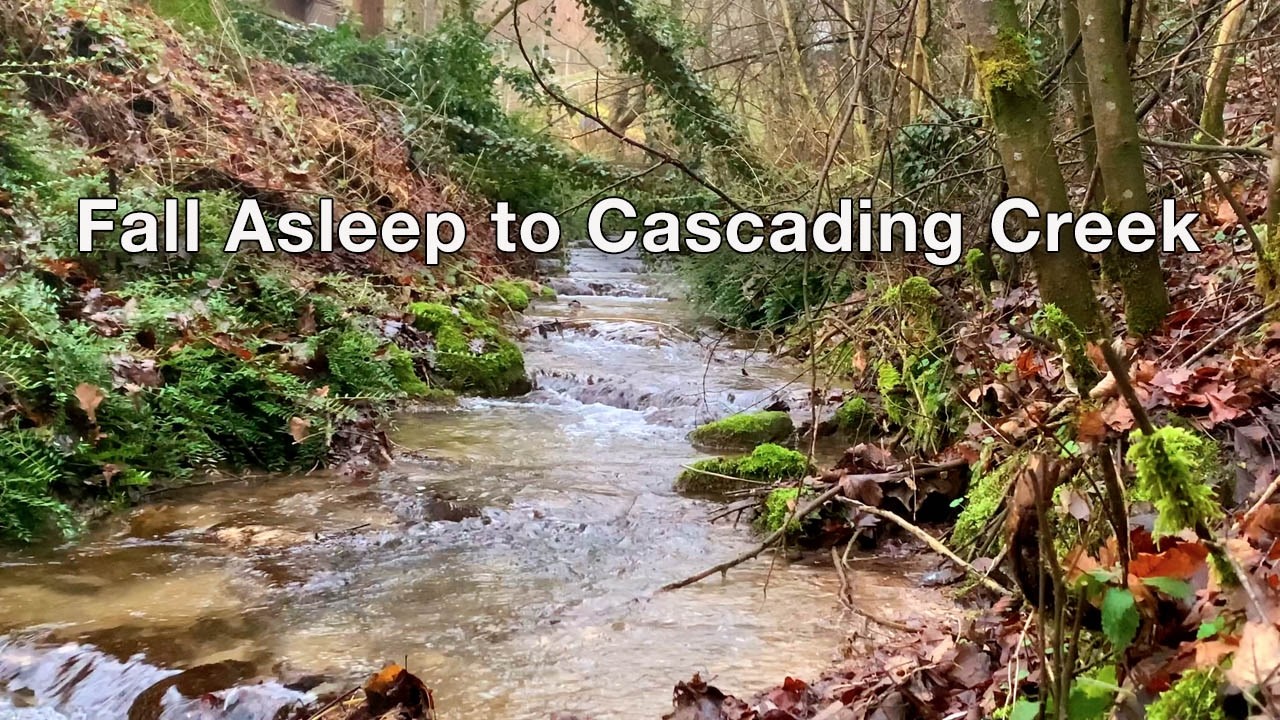 Forest Slope Creek Cascades • Gentle Water Sounds for Deep Sleep & Relaxation
