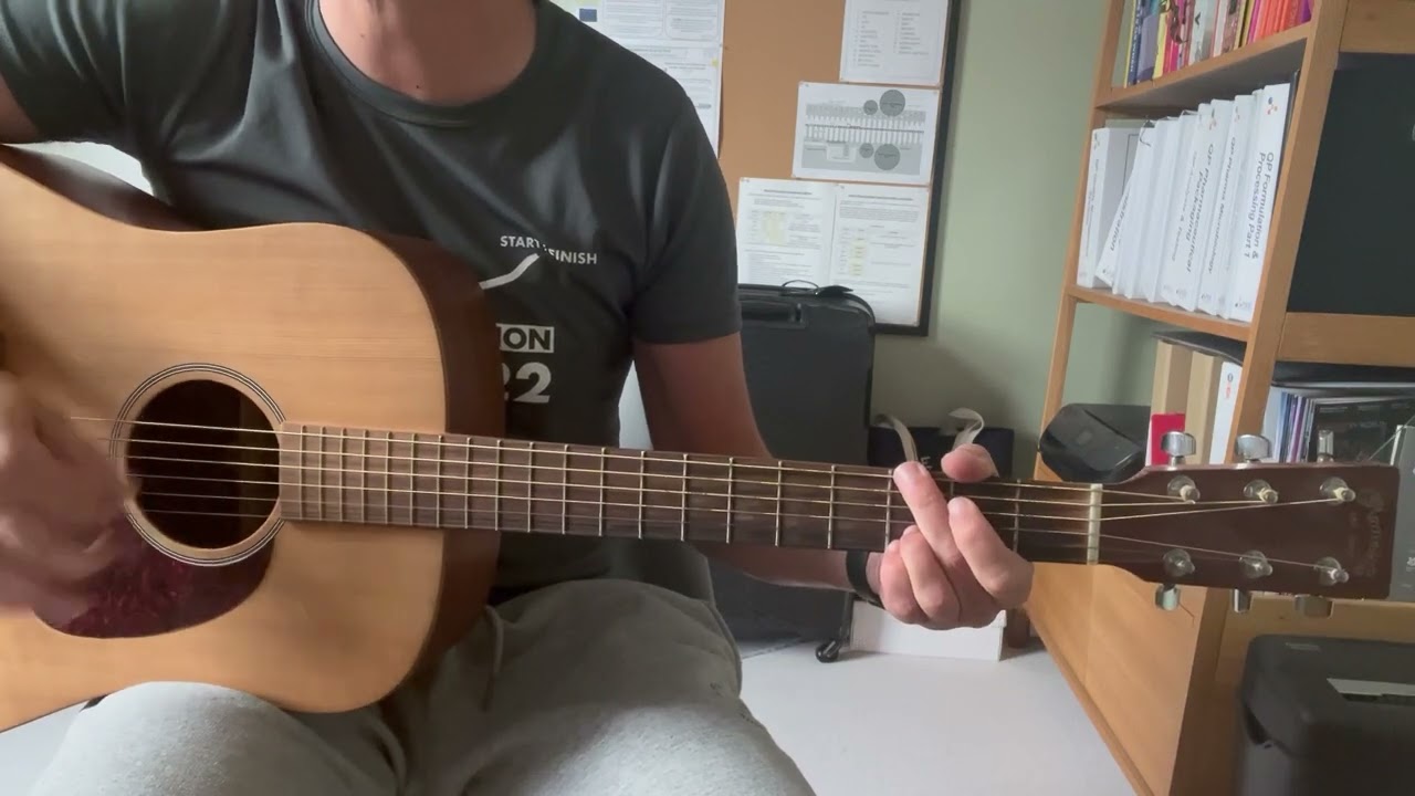 Neutral Milk Hotel - In The Aeroplane Over The Sea (Cover)