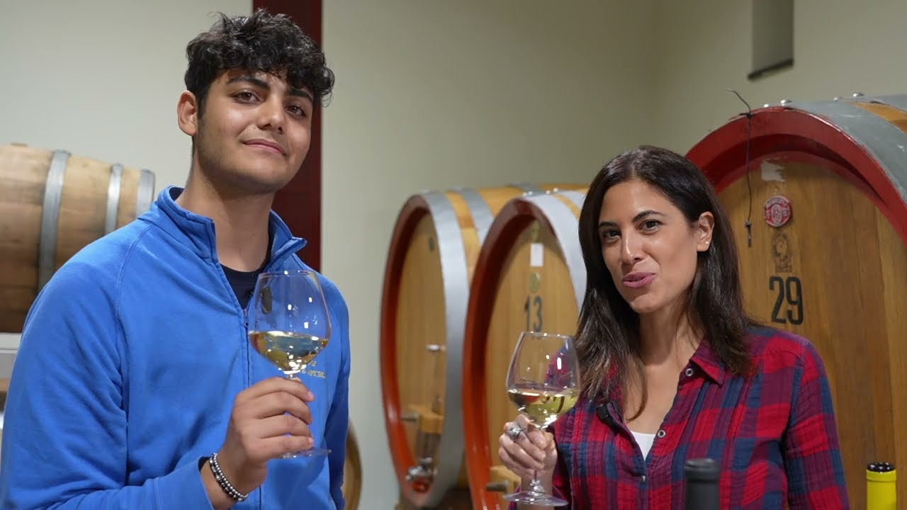 Maiori, dal mare all'entroterra tra vino ed eccellenze locali