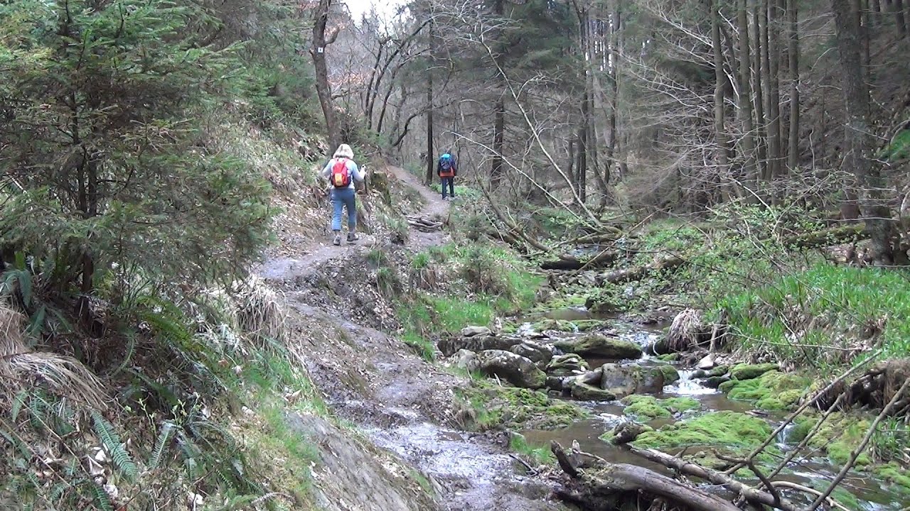 De Botrange à la cascade du Bayehon