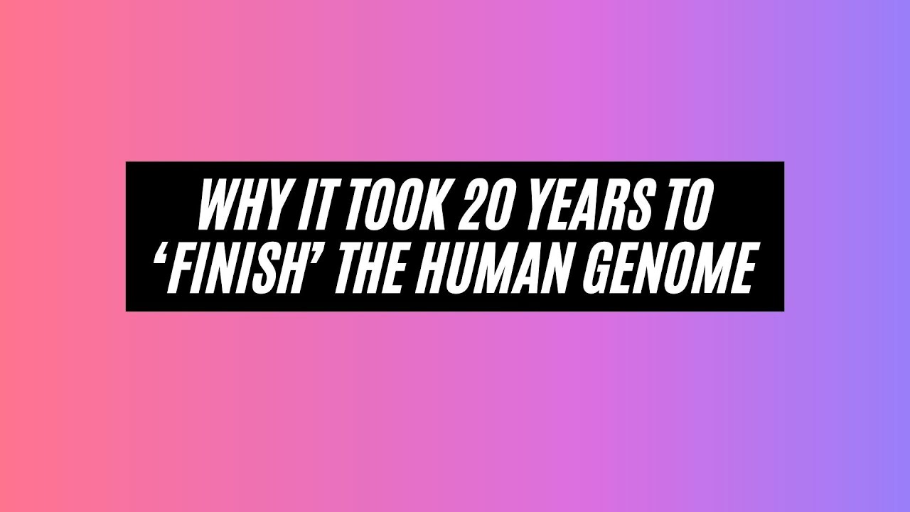 Why it took 20 years to finish the human genome | #genome #genetics #DNA #cancer #research #diseases