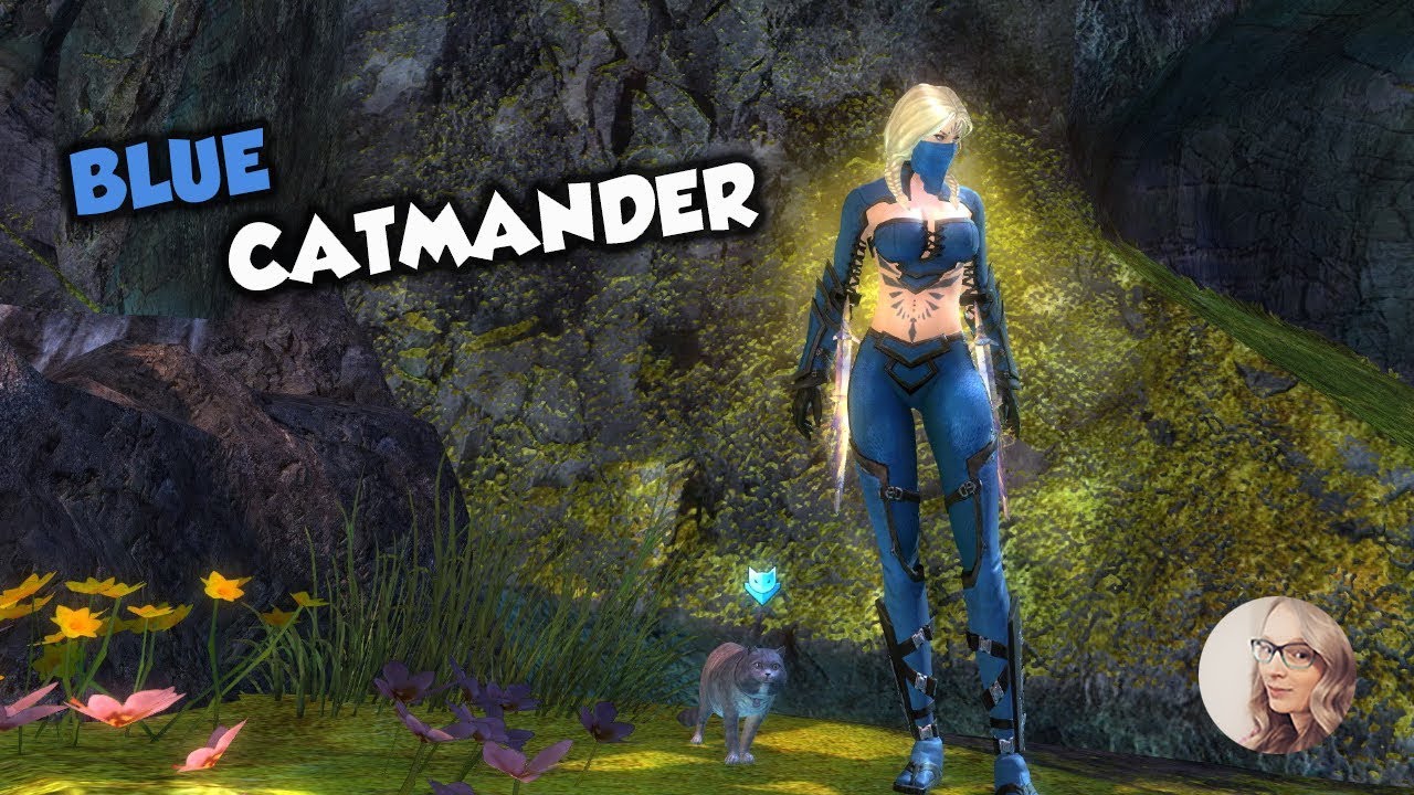 Метка «Синий Котомандир» из GW2 (Справочник Котомандира) | Достижение «Идеальная посадка» для Бое...