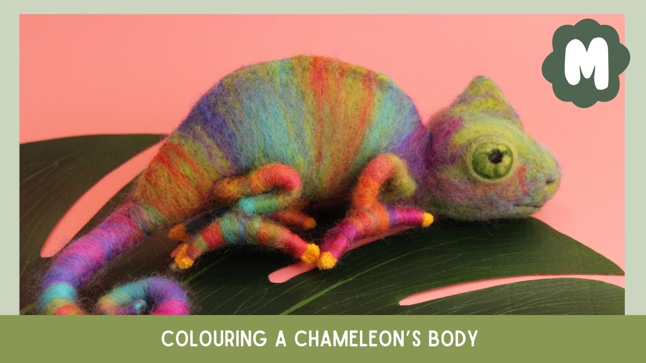 Colouring A Chameleon's Body