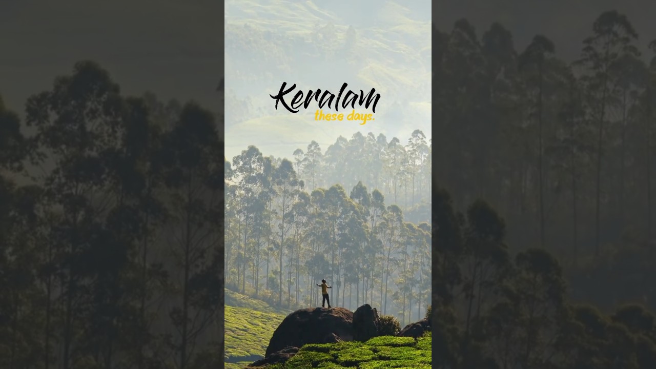 Kerala these days | Monsoon Magic #shorts