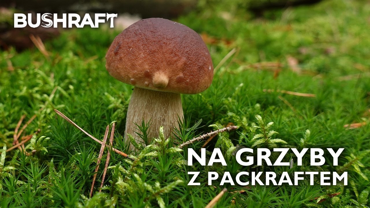 Daleko od cywilizacji - czyli spływ packraftem do grzybowego raju.