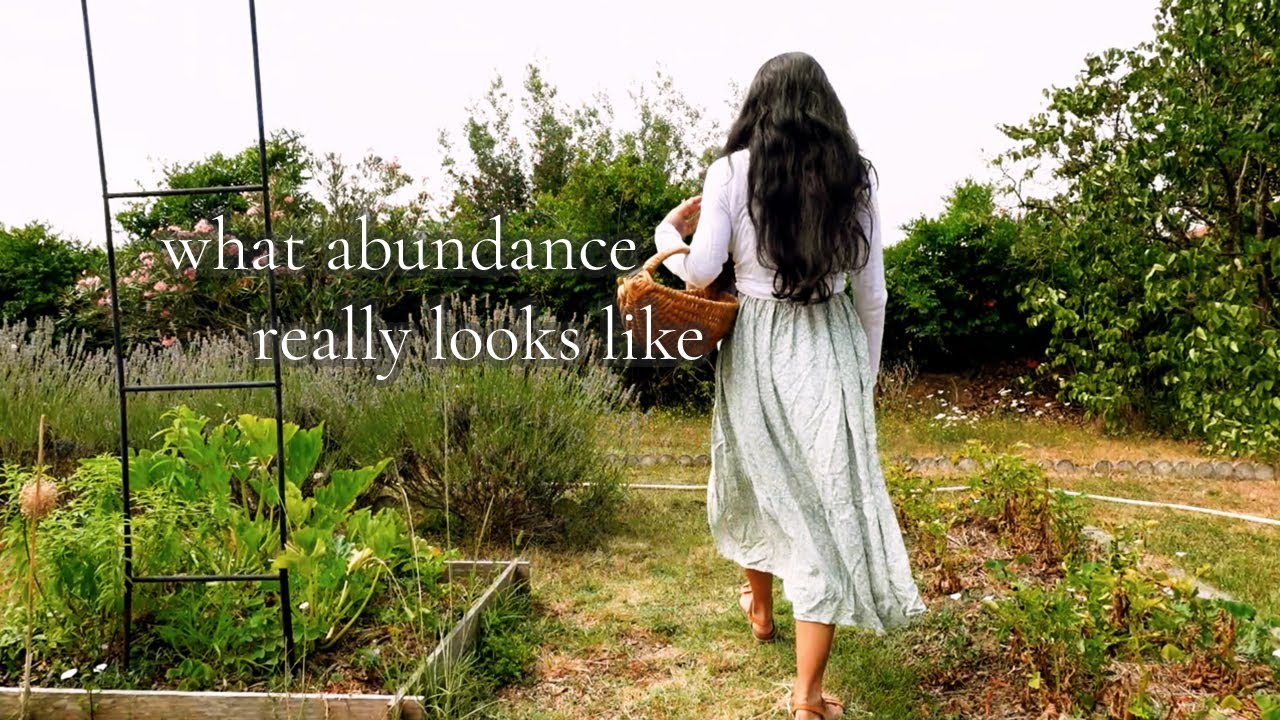 A Season of Gratitude and Growth : This is How Abundance Grows
