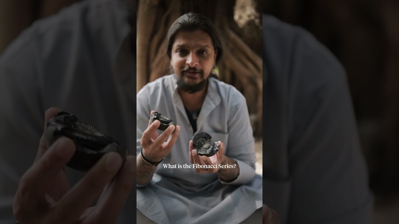 Najrzadsza forma kultu Wisznu Bhagwana &ndash; Shaligram #shorts