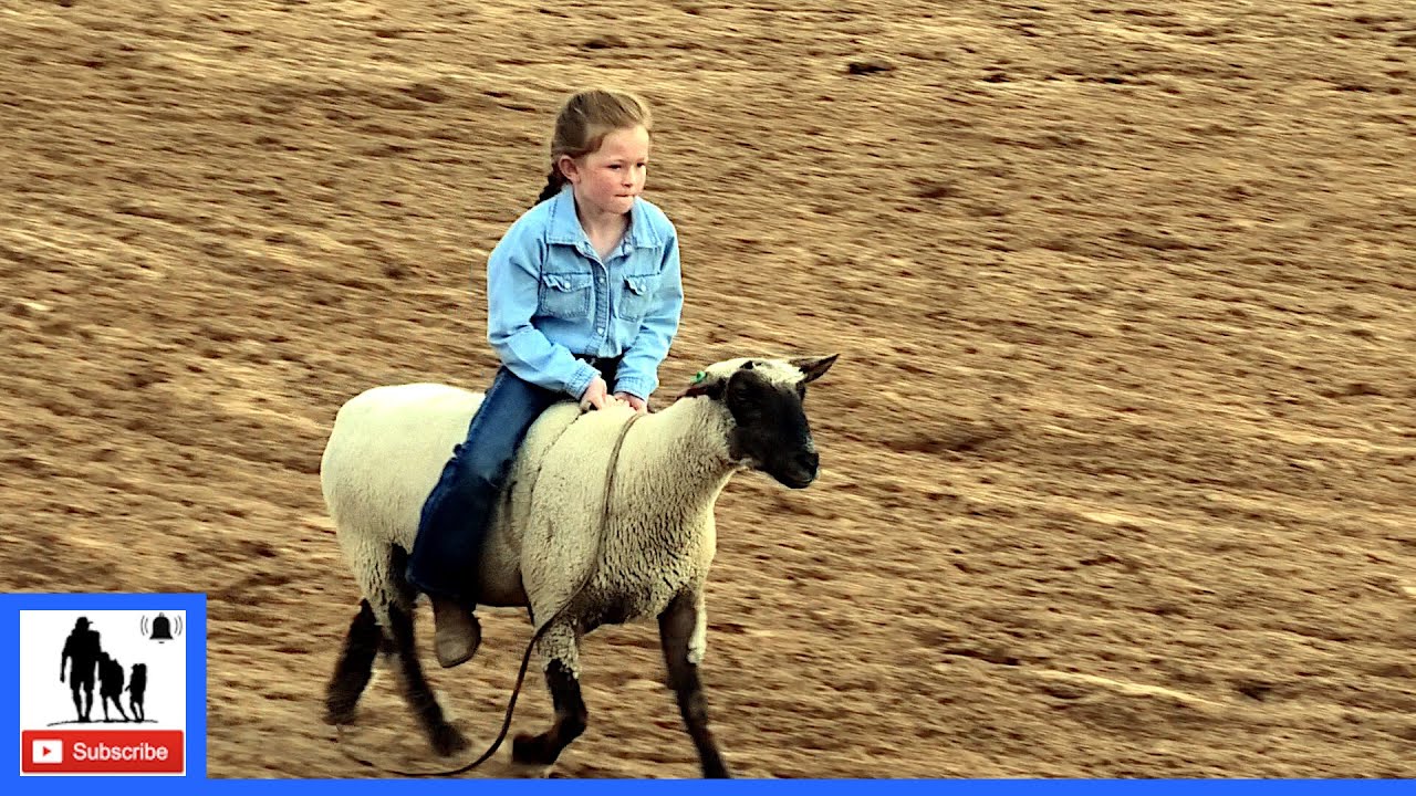 Охота на баранов 🦙 2021 Saint's Roost Ranch Rodeo | Пятница