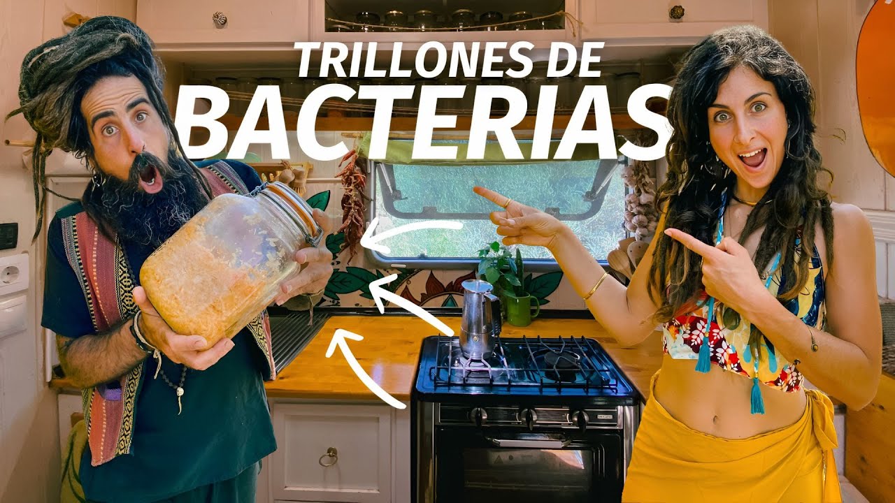 CÓMO HACER CHUCRUT fácil y rápido 🤩 Alimento probiótico que mejora tu flora intestinal