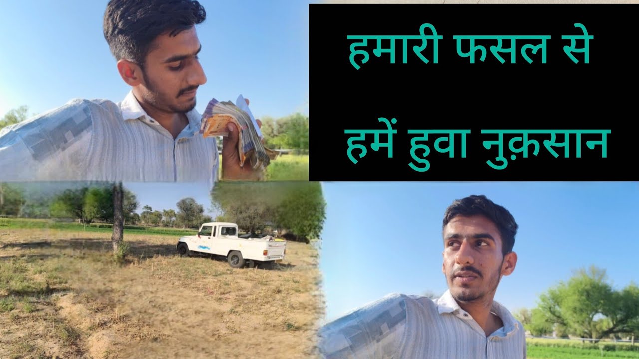 Hamari fasal Se hame huva nuksan #farming #viral #vlog #ankitgari 