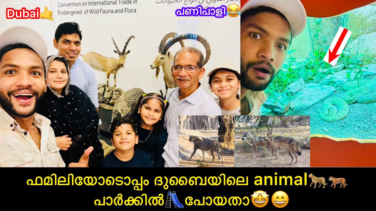 ഫാമിലിയോടൊപ്പം ദുബൈയിലെ animal🐆🐅പാർക്കിലേക്ക്🛝പോയതാ🤩😃#anshisvlogs #dubaipark #animalpark