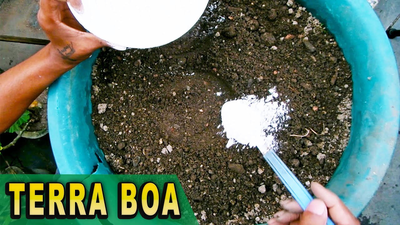 Como Reaproveitar Terra dos Vasos (Simples e Eficiente)