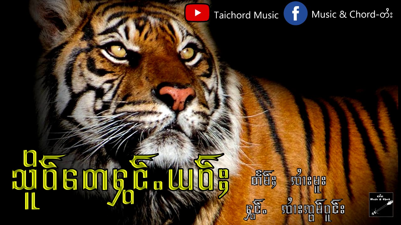 သိူဝ်တေႁွင်ႉယဝ်ႈ ၸၢႆးၸွမ်ဝူင်း