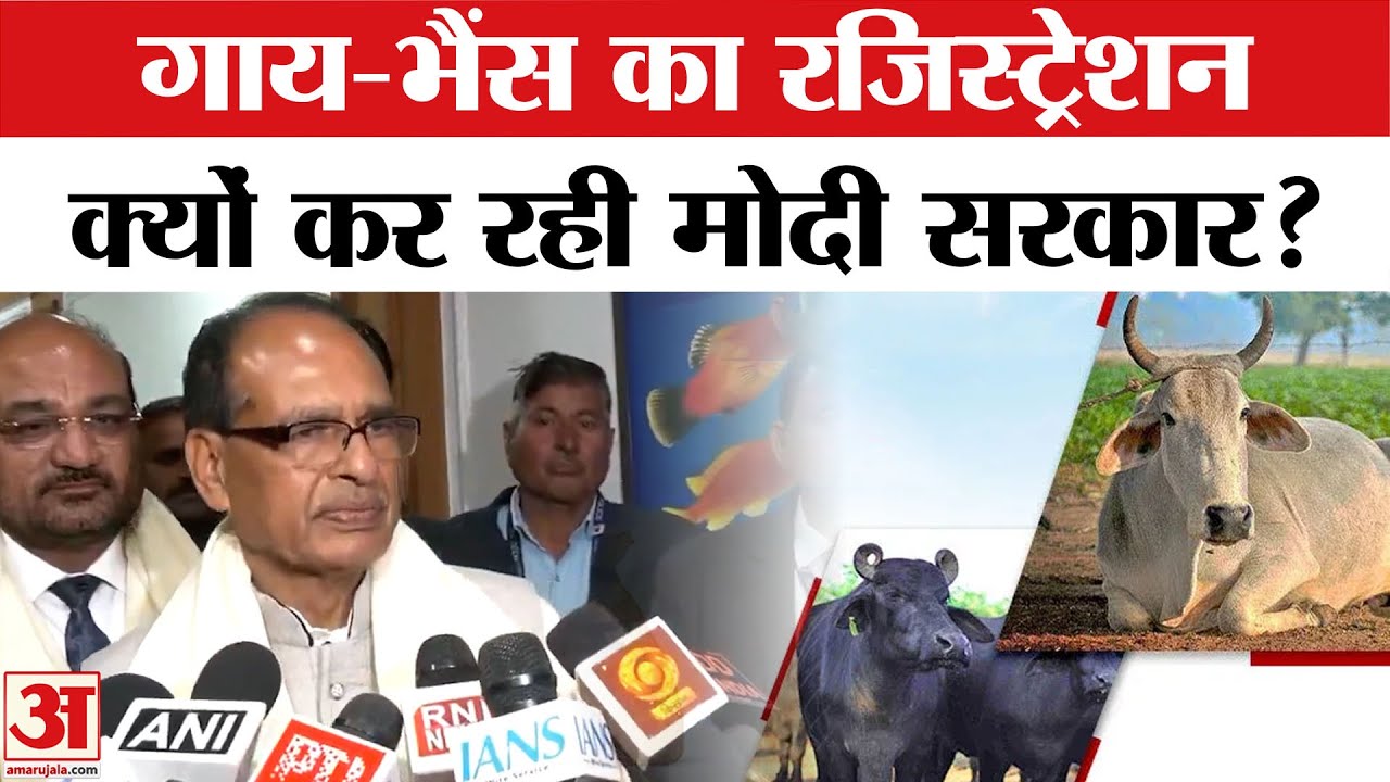 Shivraj Singh Chouhan Speech: गाय-भैंस का रजिस्ट्रेशन क्यों कर रही Modi Govt. ? Indian Cattle Breeds