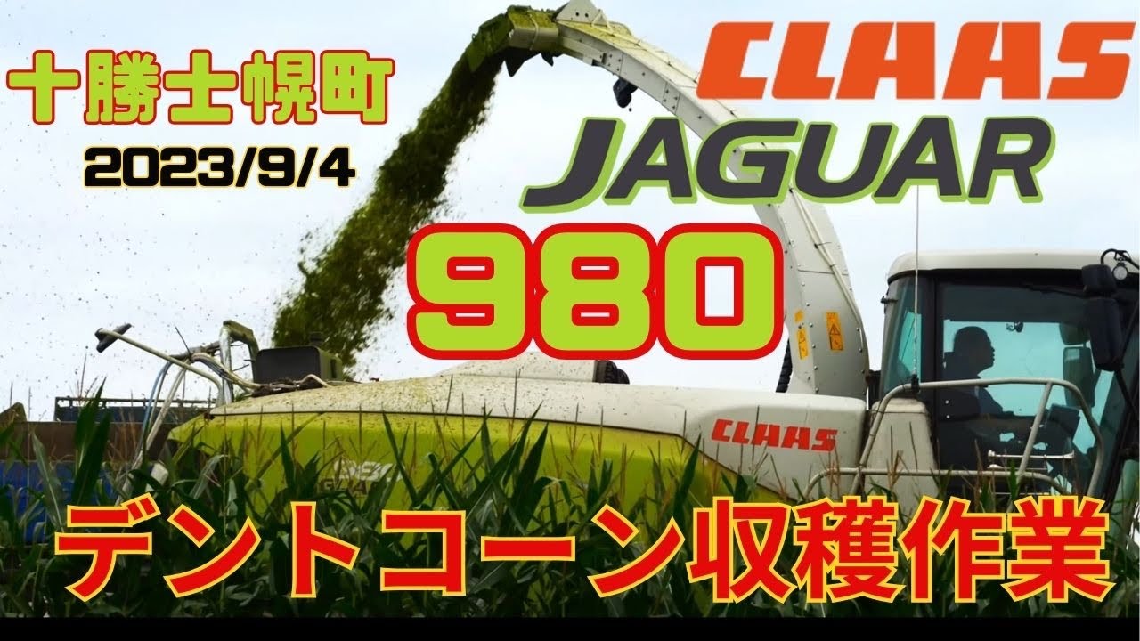 【爆速】2023/9/4デントコーン収穫作業　CLAAS JAGUAR 980  Corn harvest 2023 in Shihoro,Hokkaido,Japan　４K ドローン士幌町