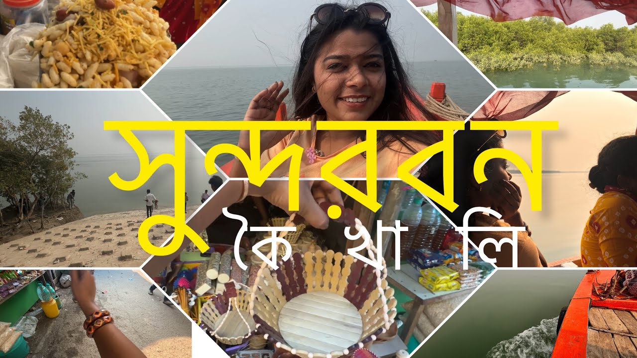 সুন্দরবন পিকনিক গিয়ে খুব মজা করলাম 😎🚌