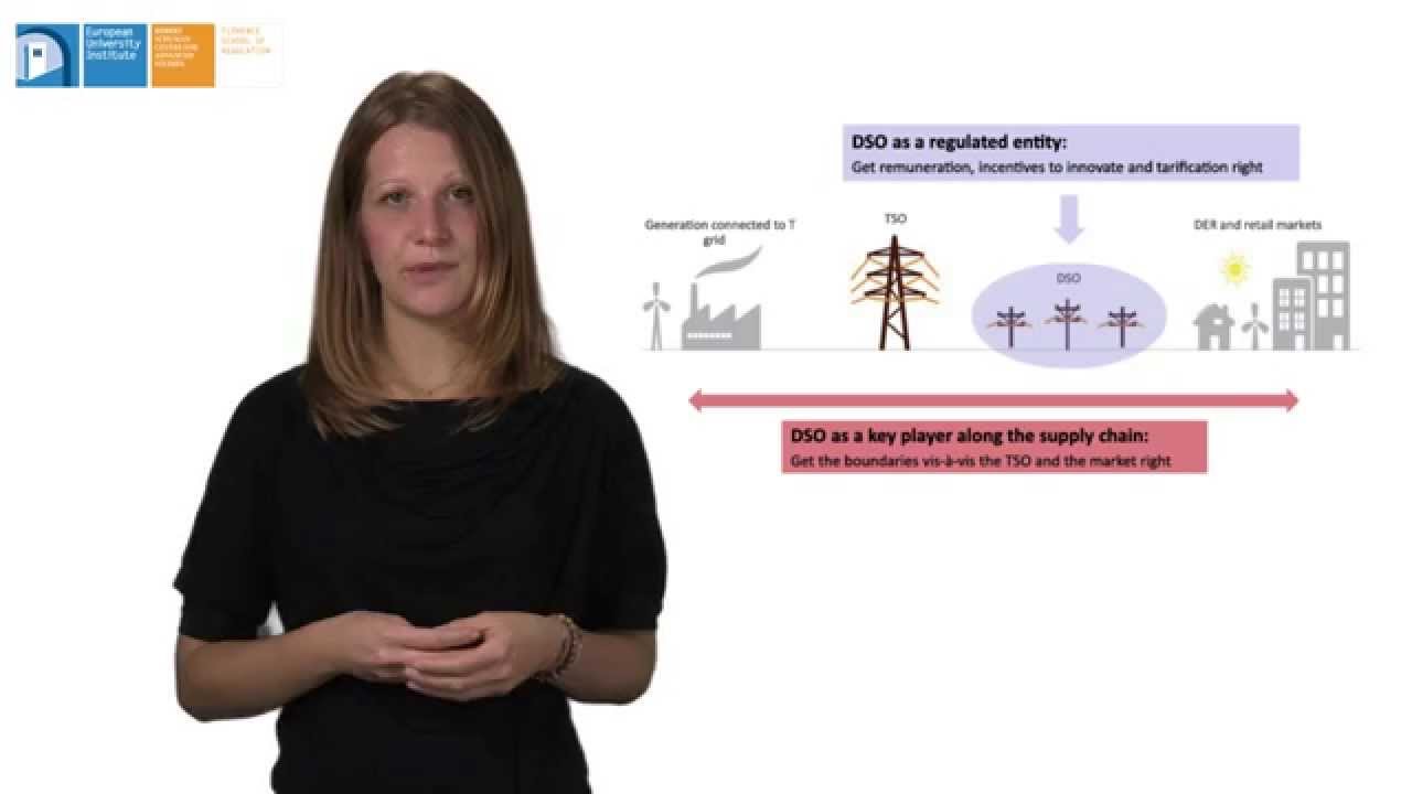 Electricity Distribution | Why and Where to Adapt Regulation by Sophia Ruester | FSR