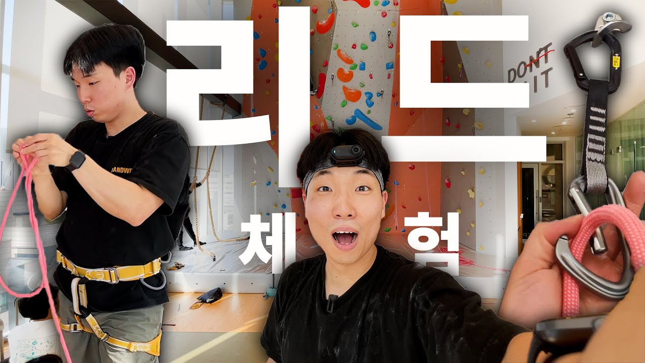 리드 클라이밍 체험 하고 왔습니다 (신촌 에피소드369 & 코알라 클라이밍)