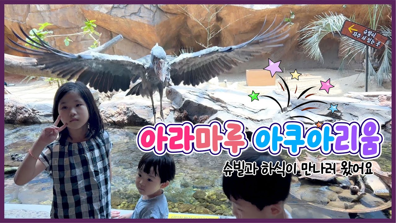 [4K] 아이와 함께한 사천여행_국내 유일 하마 하식이 & 공룡의 후예 슈빌_만나러 가야지~ | 아라마루 아쿠아리움