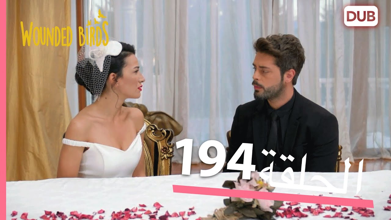 الطيور الجريحة | الحلقة الكاملة 194 |  مدبلج عربي