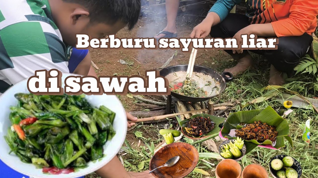 Berburu dan masak Sayuran liar di sawah, rasanya enak banget!!!