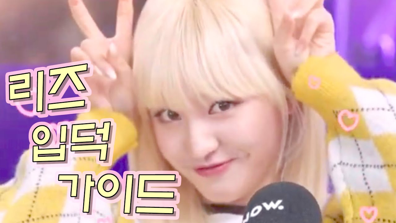 리즈 입덕 가이드 (아이브 리즈 입덕영상 모아보기)