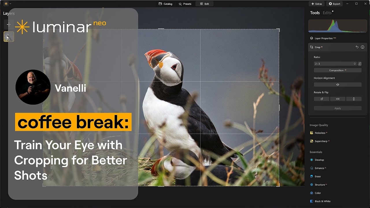 Train Your Eye with Cropping for Better Shots | Luminar Neo