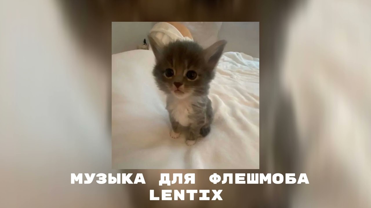 ✨музыка для флешмоба💗