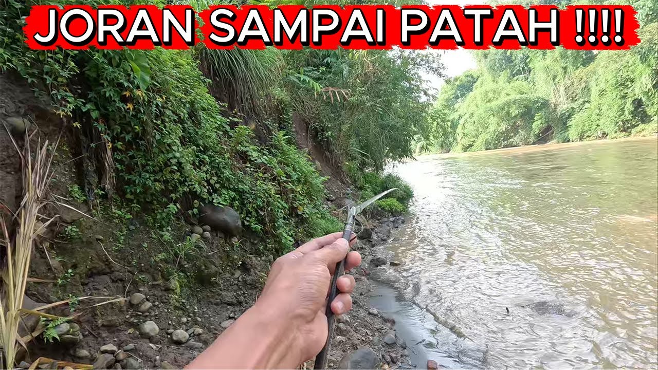 MC 16 | KARENA  INI JORAN SAMPAI PATAH !!! #mancing #sungai #progo