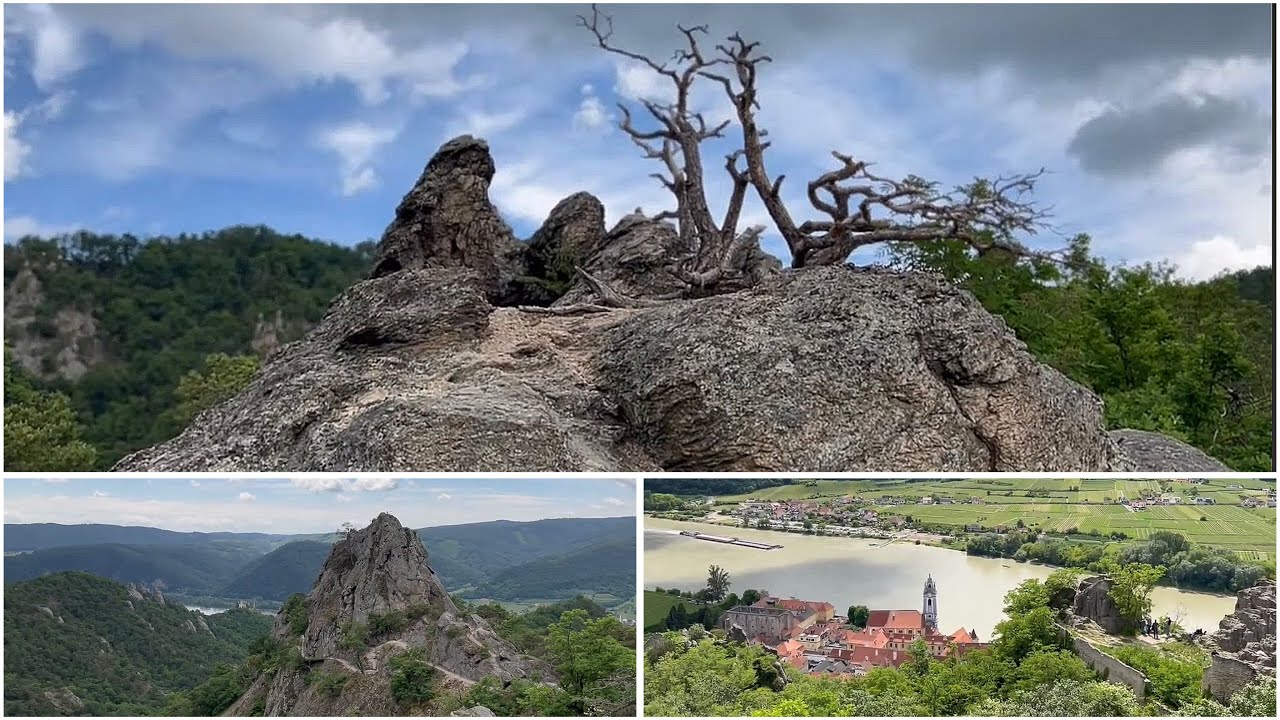 🇦🇹 Dürnstein: Vogelbergsteig - Fesslhütte - Starhembergwarte - Ruine & Wachauertorte