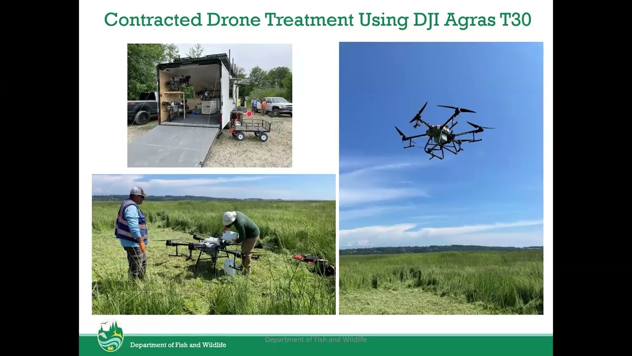 Drones for Weed Management