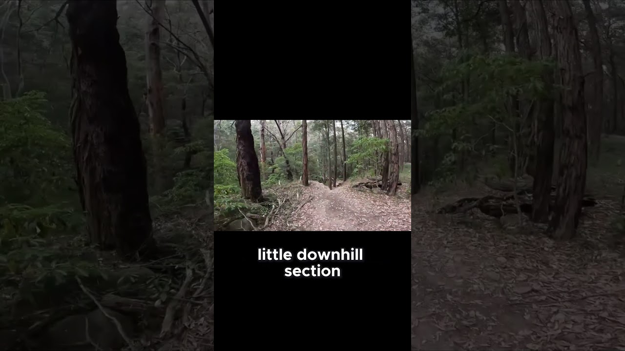 Exploring Hidden Trails  A Journey Back! | #twlbj #knapsack #mtb