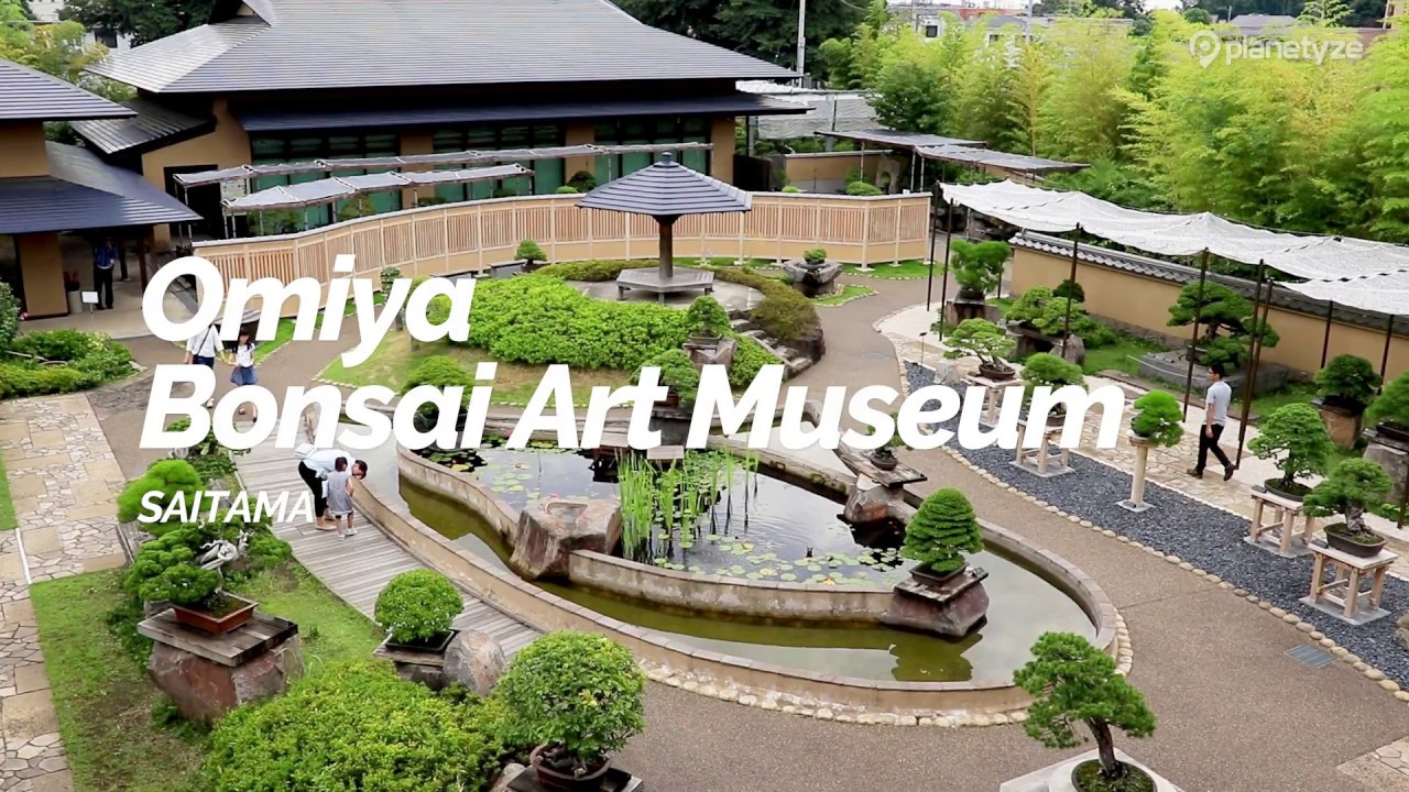 Omiya Bonsai Art Museum, Saitama | Japan Travel Guide