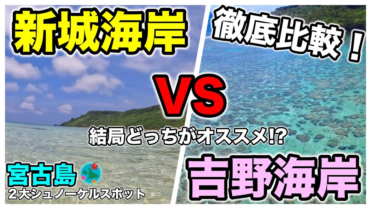 【新城海岸vs吉野海岸】宮古島の２大シュノーケルスポットを徹底比較！