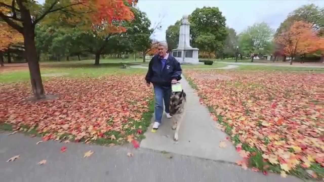 Leader Dog - Enabling the Human Spirit