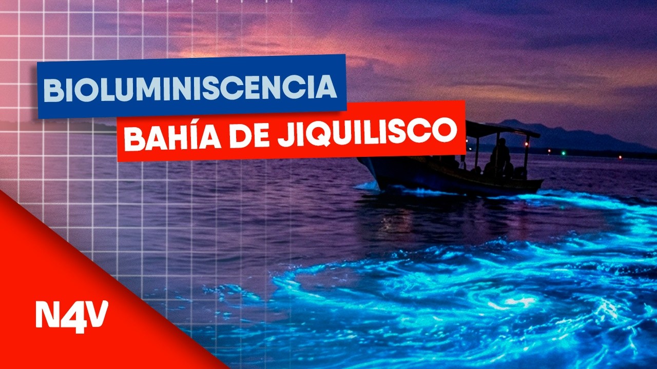 Bioluminiscencia un espect&aacute;culo en la Bah&iacute;a de Jiquilisco | Noticias 4 Visi&oacute;n | El Salvador