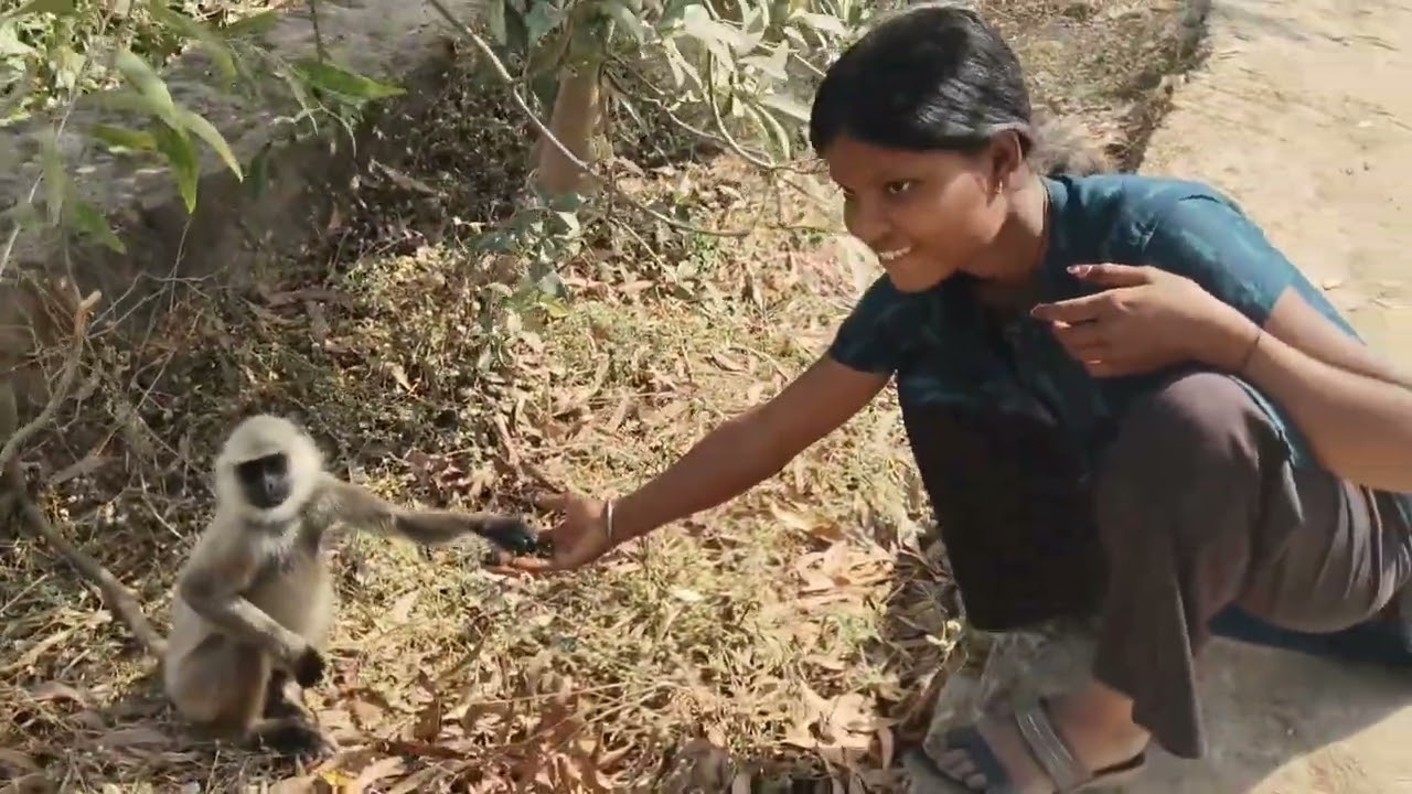 Monkey Eating Food so Beautiful moments 